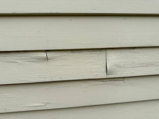 Best Siding for New Construction  in Mirrormont, WA